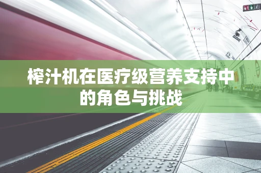 榨汁机在医疗级营养支持中的角色与挑战