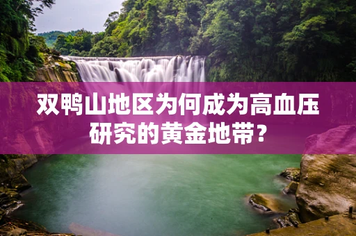 双鸭山地区为何成为高血压研究的黄金地带？