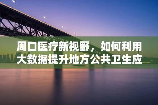 周口医疗新视野，如何利用大数据提升地方公共卫生应急响应效率？