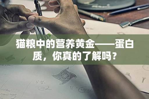 猫粮中的营养黄金——蛋白质，你真的了解吗？
