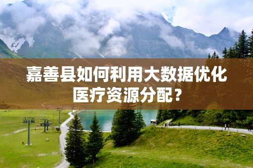 嘉善县如何利用大数据优化医疗资源分配？