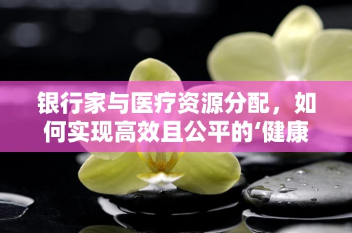 银行家与医疗资源分配，如何实现高效且公平的‘健康银行’？