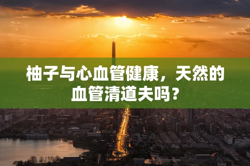 柚子与心血管健康，天然的血管清道夫吗？