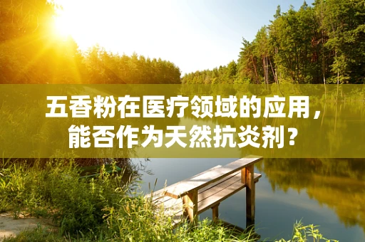 五香粉在医疗领域的应用，能否作为天然抗炎剂？