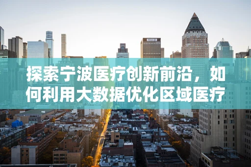 探索宁波医疗创新前沿，如何利用大数据优化区域医疗资源配置？