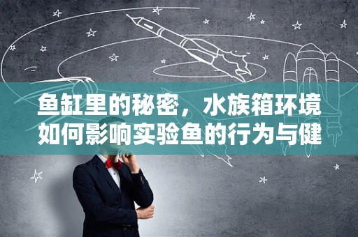 鱼缸里的秘密，水族箱环境如何影响实验鱼的行为与健康？