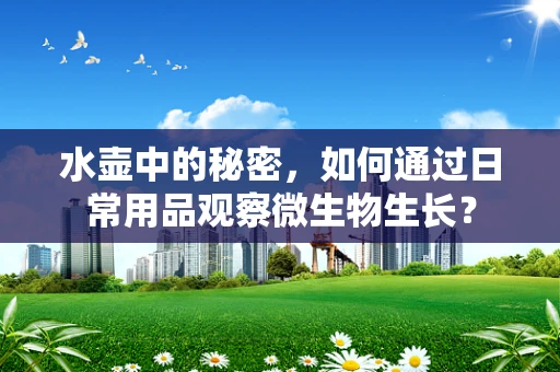 水壶中的秘密，如何通过日常用品观察微生物生长？