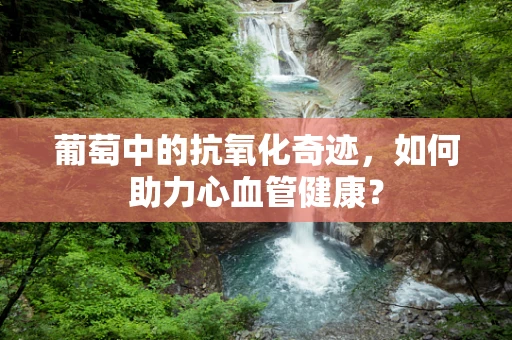 葡萄中的抗氧化奇迹，如何助力心血管健康？