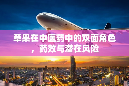 草果在中医药中的双面角色，药效与潜在风险
