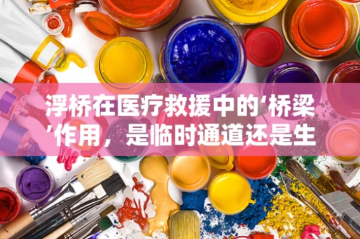 浮桥在医疗救援中的‘桥梁’作用，是临时通道还是生命线？