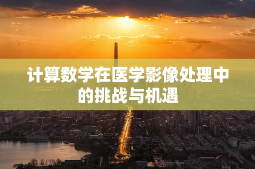 计算数学在医学影像处理中的挑战与机遇