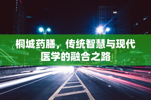 桐城药膳，传统智慧与现代医学的融合之路
