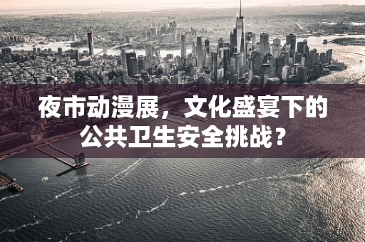 夜市动漫展，文化盛宴下的公共卫生安全挑战？