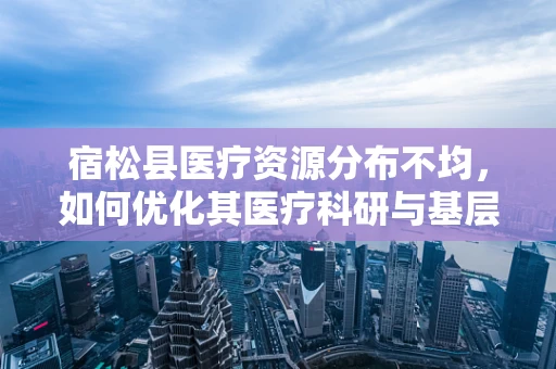 宿松县医疗资源分布不均，如何优化其医疗科研与基层服务？