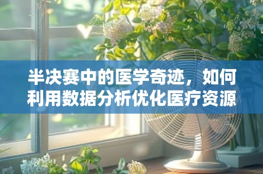 半决赛中的医学奇迹，如何利用数据分析优化医疗资源分配？