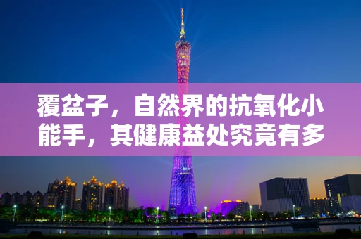 覆盆子，自然界的抗氧化小能手，其健康益处究竟有多深？