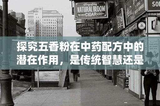 探究五香粉在中药配方中的潜在作用，是传统智慧还是科学奇迹？
