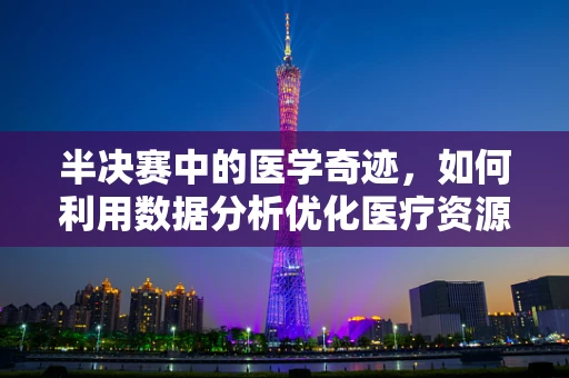 半决赛中的医学奇迹，如何利用数据分析优化医疗资源分配？