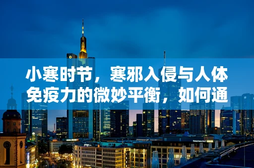 小寒时节，寒邪入侵与人体免疫力的微妙平衡，如何通过饮食调养增强抵抗力？
