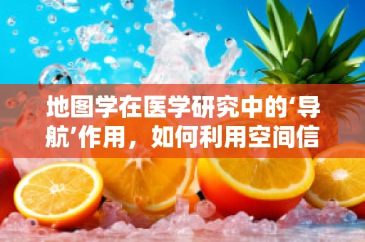 地图学在医学研究中的‘导航’作用，如何利用空间信息优化医疗资源分配？