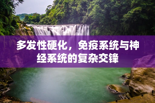 多发性硬化，免疫系统与神经系统的复杂交锋