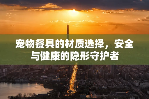 宠物餐具的材质选择，安全与健康的隐形守护者