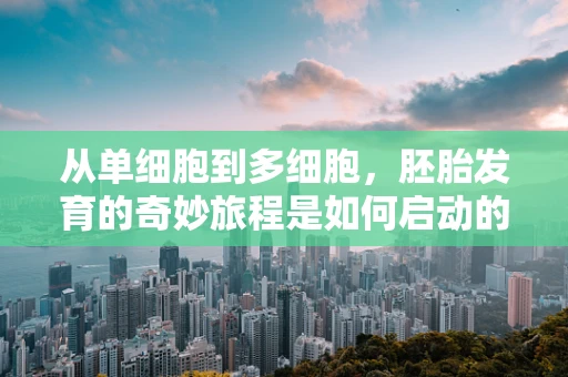 从单细胞到多细胞，胚胎发育的奇妙旅程是如何启动的？