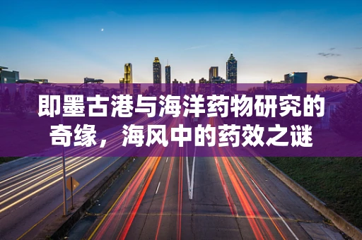 即墨古港与海洋药物研究的奇缘，海风中的药效之谜