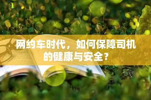 网约车时代，如何保障司机的健康与安全？