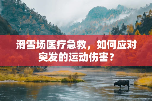 滑雪场医疗急救，如何应对突发的运动伤害？