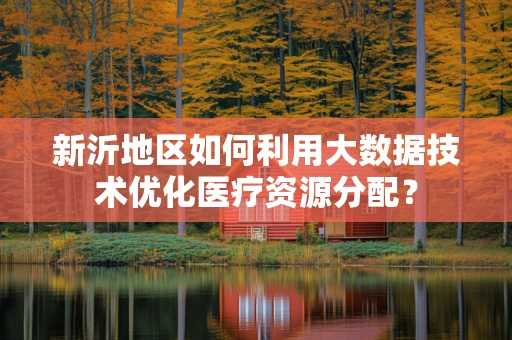 新沂地区如何利用大数据技术优化医疗资源分配？