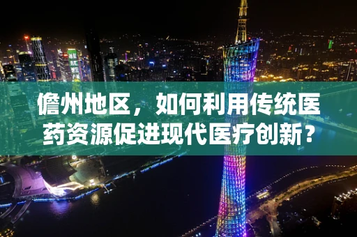 儋州地区，如何利用传统医药资源促进现代医疗创新？