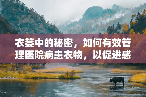 衣篓中的秘密，如何有效管理医院病患衣物，以促进感染控制？