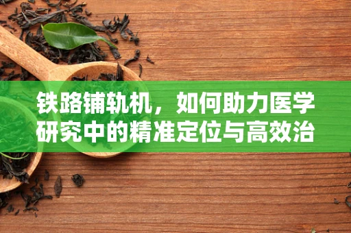 铁路铺轨机，如何助力医学研究中的精准定位与高效治疗？