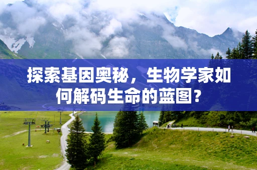 探索基因奥秘，生物学家如何解码生命的蓝图？