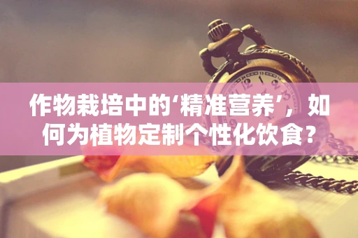 作物栽培中的‘精准营养’，如何为植物定制个性化饮食？