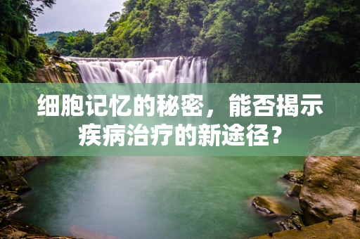 细胞记忆的秘密，能否揭示疾病治疗的新途径？