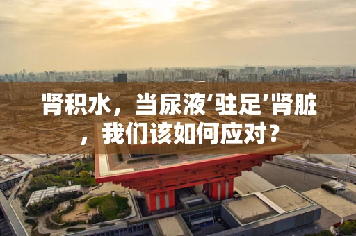 肾积水，当尿液‘驻足’肾脏，我们该如何应对？