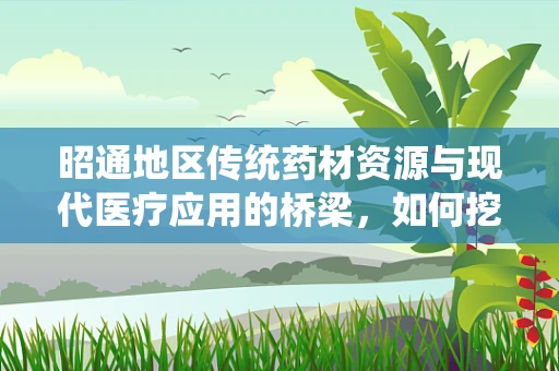 昭通地区传统药材资源与现代医疗应用的桥梁，如何挖掘其潜力？