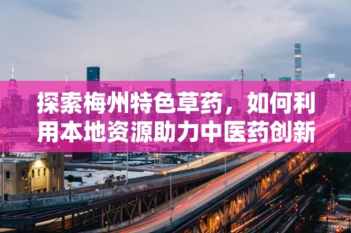 探索梅州特色草药，如何利用本地资源助力中医药创新？