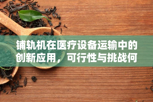 铺轨机在医疗设备运输中的创新应用，可行性与挑战何在？