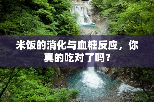 米饭的消化与血糖反应，你真的吃对了吗？