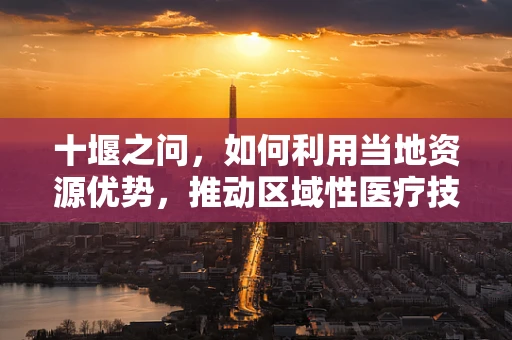 十堰之问，如何利用当地资源优势，推动区域性医疗技术创新与转化？