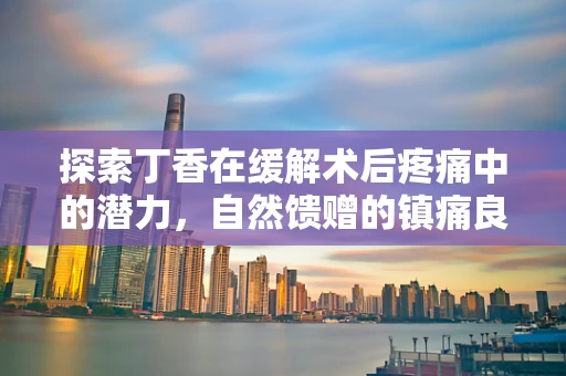 探索丁香在缓解术后疼痛中的潜力，自然馈赠的镇痛良方？