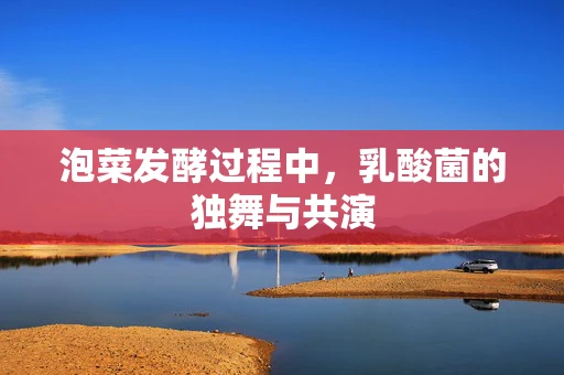 泡菜发酵过程中，乳酸菌的独舞与共演