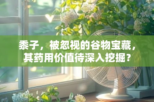 黍子，被忽视的谷物宝藏，其药用价值待深入挖掘？