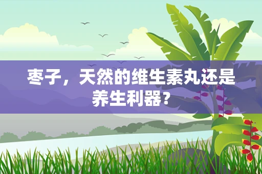 枣子，天然的维生素丸还是养生利器？
