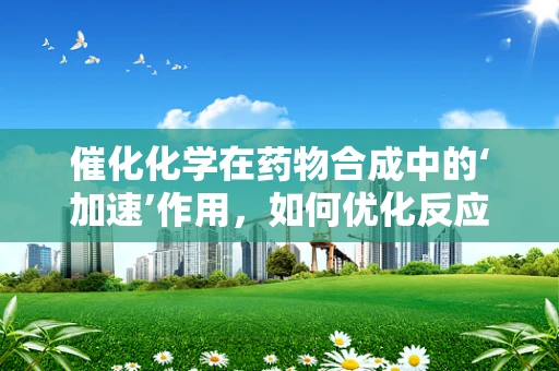 催化化学在药物合成中的‘加速’作用，如何优化反应效率？