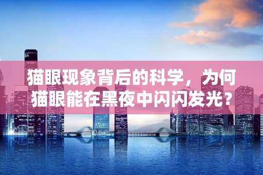 猫眼现象背后的科学，为何猫眼能在黑夜中闪闪发光？