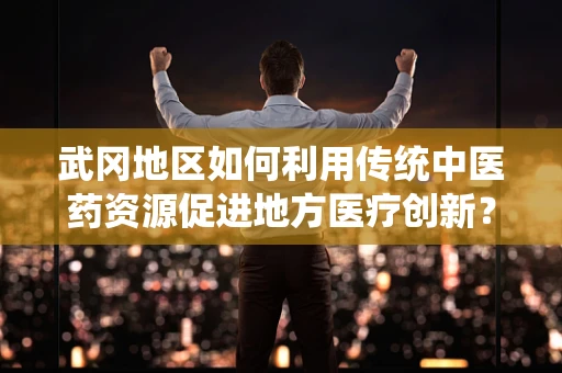 武冈地区如何利用传统中医药资源促进地方医疗创新？